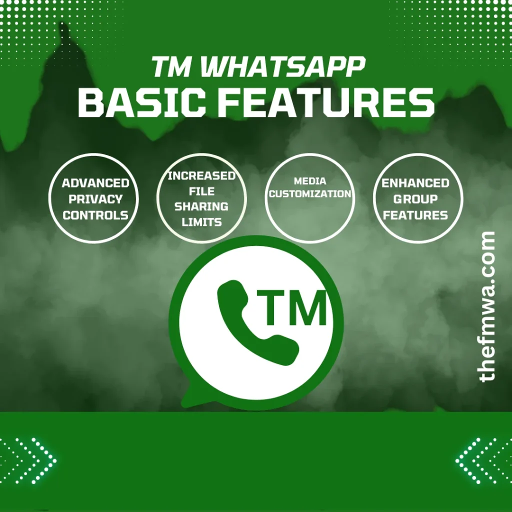 Key Features of TM WhatsApp